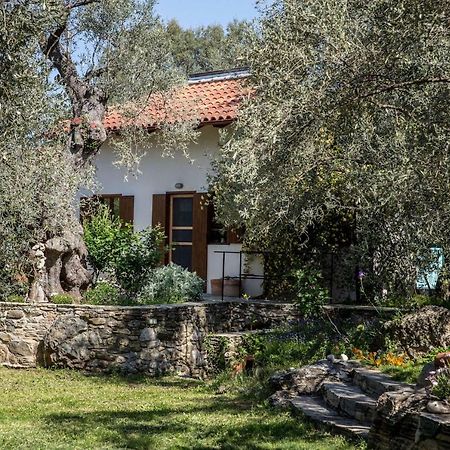 Piges Villa Milina Bagian luar foto