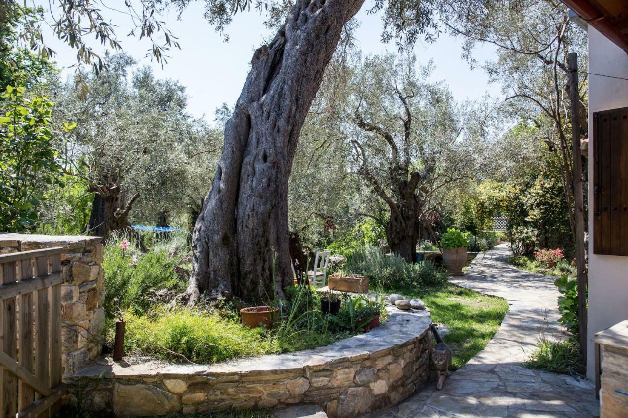 Piges Villa Milina Bagian luar foto